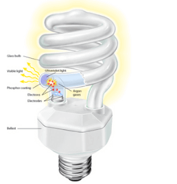 Fluorescent Lamp and Working Principle of Fluorescent Lamp